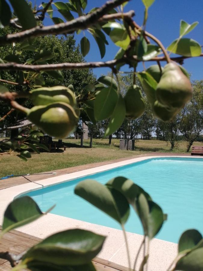 Hotel De Campo La Cumparsita Tacuarembó Exteriér fotografie